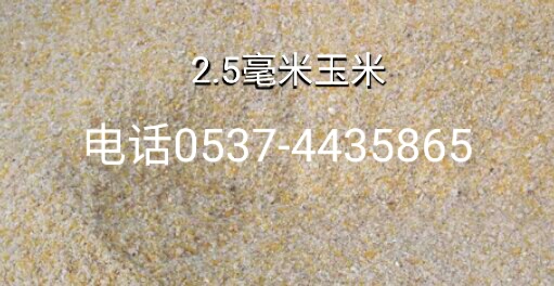 戳我試試